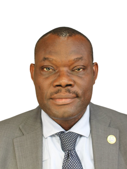 Professor Wellington Oyibo FIBMS (UK)